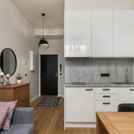 Duoloft Studio Lovisa Casa With Gym And Terrace Tartu